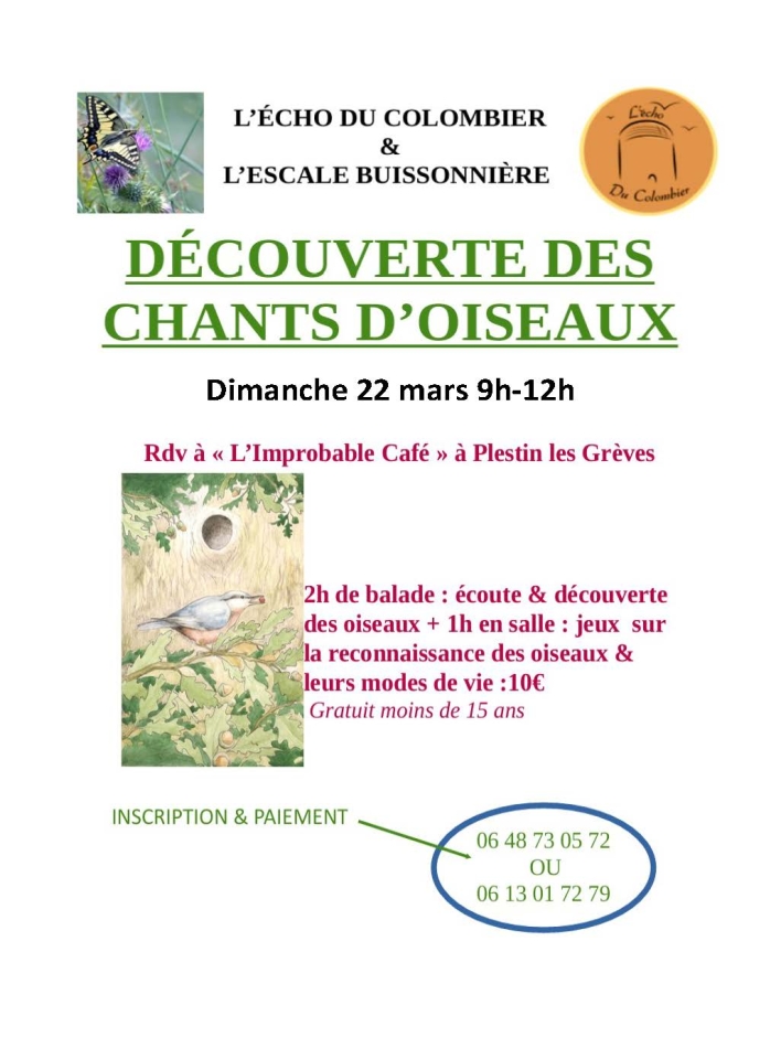 Chants d'oiseaux
